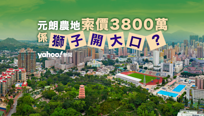 元朗農地索價3800萬 係獅子開大口？