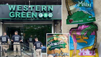 Cannabis cops uproot illegal weed shop in heart of Queens business district