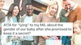 Mom asks if she’s wrong for lying to MIL about baby’s sex in viral Reddit AITA post