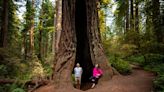 Veterans and military personnel, visit a California State Park for free on Memorial Day