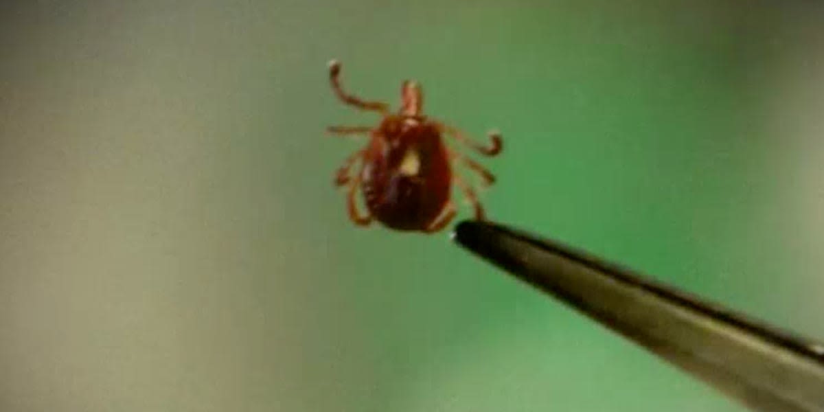 Brown County offers free tick kits