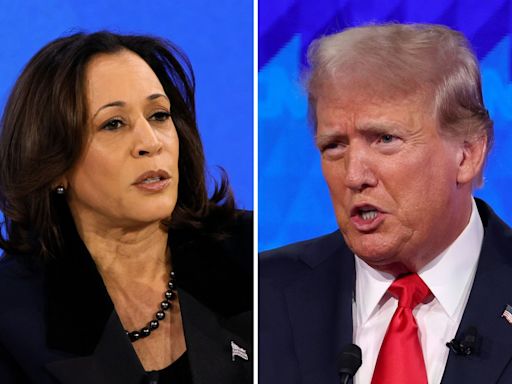 Kamala Harris' chances of beating Donald Trump if she replaces Biden: Polls