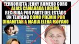 Peruana Jenny Romero fue detenida por error y reparada durante la gestión del exministro Tudela