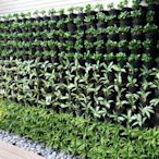 綠牆/人造花綠牆/自然植栽綠牆  專業設計、施工