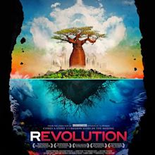 Revolution - A film by Rob Stewart | Official movie website