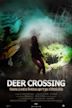 Deer Crossing