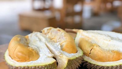 Durian season in full swing, but let’s not overindulge