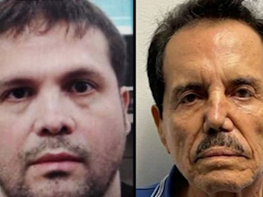 Mexican attorney claims El Chapo's son and El Mayo 'voluntarily surrendered' to American authorities
