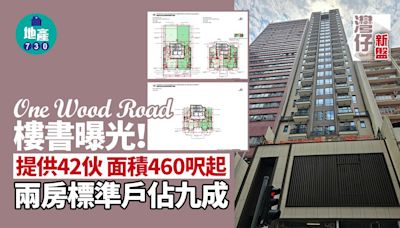 灣仔One Wood Road提供42伙 兩房標準戶佔九成 面積460呎起｜新盤樓書