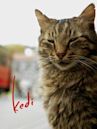 Kedi (2016 film)