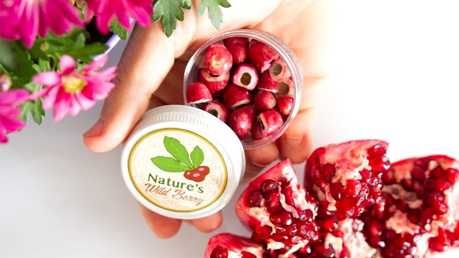 Where Is Nature's Wild Berry From Shark Tank Today?