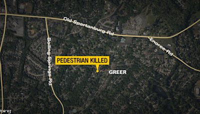 Man hit, killed by car in Greenville Co.