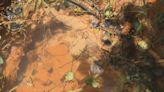 Organizaciones ecologistas denuncian a una empresa por contaminar en la Mina de Touro