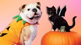 OK, Target Has The *Cutest* Halloween Costumes For Pets