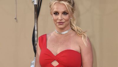 Aseguran que el supuesto novio de Britney Spears tiene antecedentes penales y 10 hijos que no mantiene