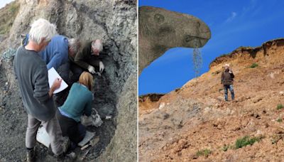 Isle of Wight home to UK's 'most complete' dinosaur skeleton in a century