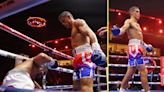 Olympic medallist scores sickening body shot knockout on Fury vs Usyk undercard