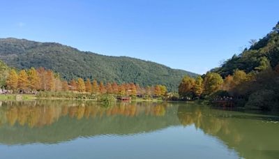 人氣景點燈篙林道可通「抹茶湖」 她曝新秘境不輸抹茶山