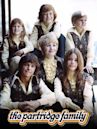 Die Partridge Familie