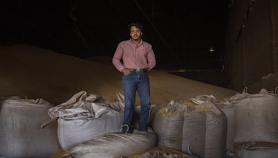 Farming Is Hip in Brazil, Where a New Generation Is Outpacing the US