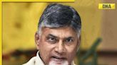 'Chandrababu Naidu garu taken for right royal ride': Congress questions Centre's budget allocation to Andhra Pradesh