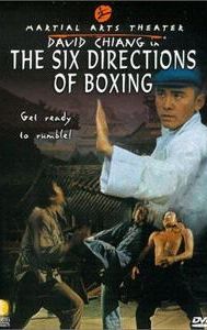 The Six Directions of Boxing