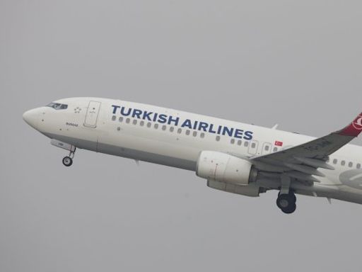 Turkish Airlines anuncia su llegada a Chile en diciembre: conectará Santiago y Estambul con cuatro vuelos semanales | Diario Financiero
