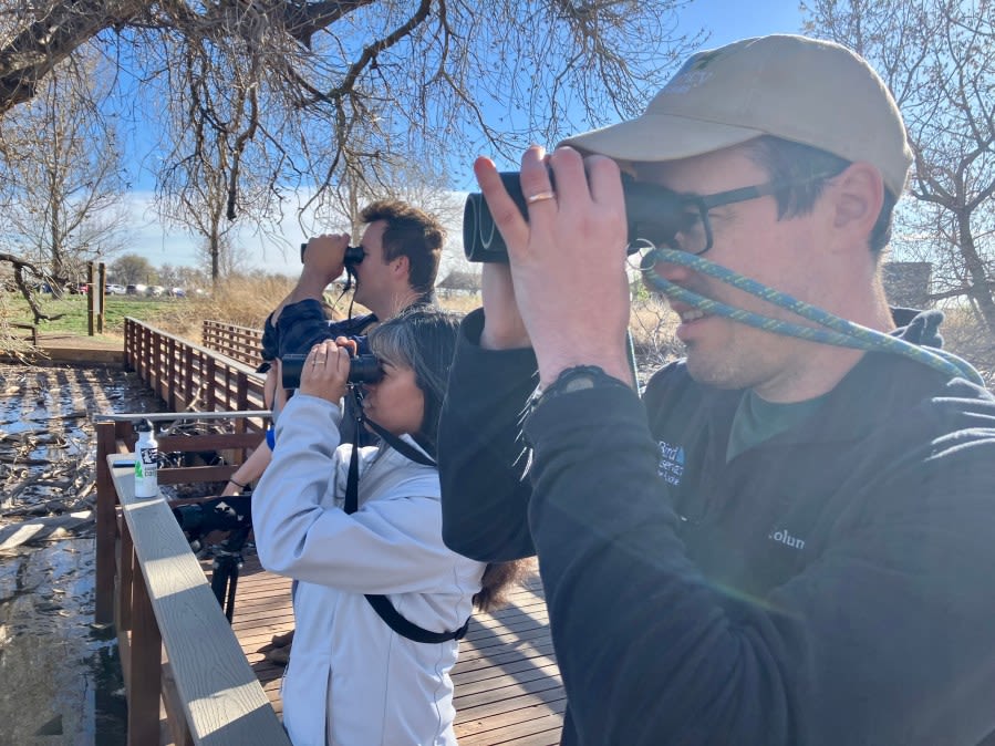 Bird-watching a growing activity in Colorado