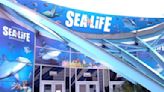 Sea Life Birmingham + Warwick Castle + Cadbury World at Sea Life