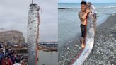 6月就預告台東強震！他海邊捕獲「6m巨型地震魚」 現蹤智利、日本…地牛就翻身