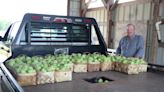 Meet American Fruit Grower's National Apple Grower of the Year