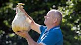 Harrogate Flower Show winner 'wouldn't advise' eating his prize 7.6kg onion | ITV News