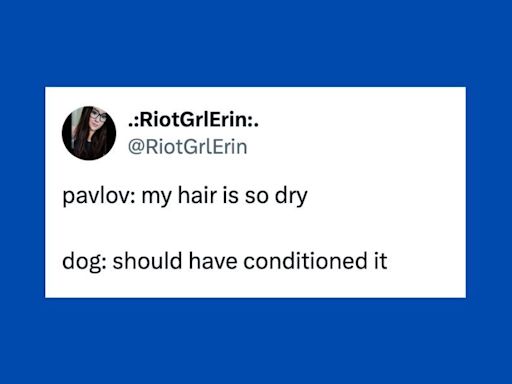 24 Of The Funniest Tweets About Cats And Dogs This Week (April 20-26)