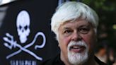 Anti-whaling campaigner Paul Watson arrested in Greenland. He faces possible extradition to Japan