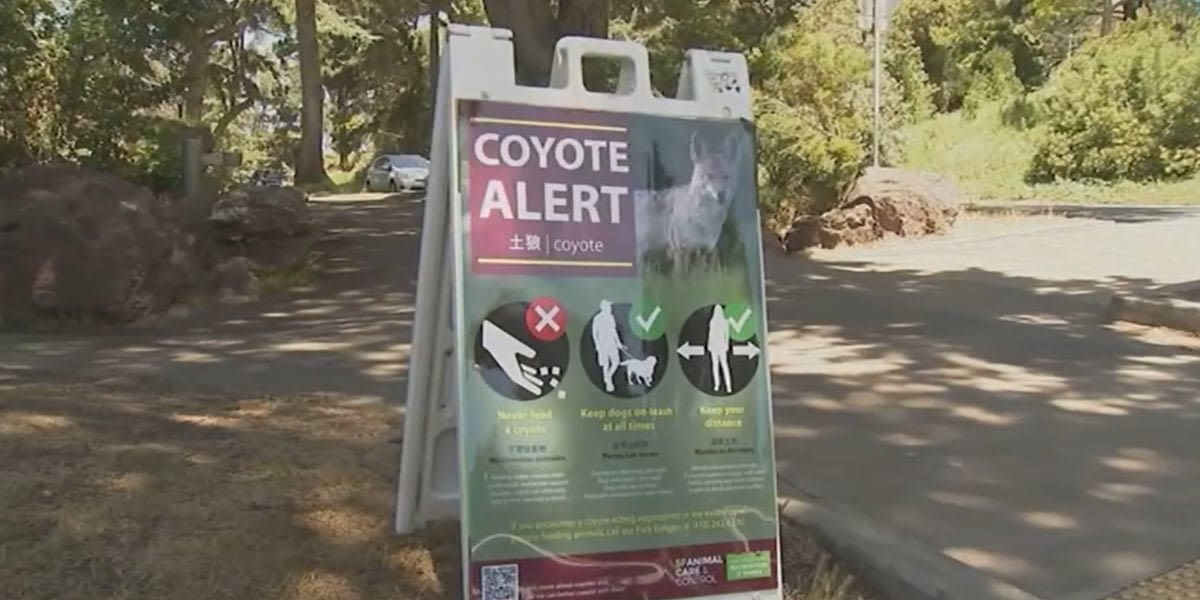 3 coyotes shot, killed after attacking 5-year-old child at a botanical garden