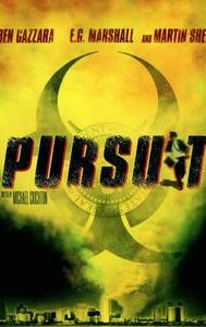 Pursuit