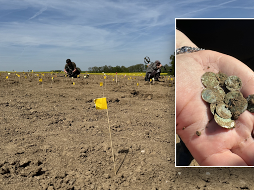 Woman out for a walk stumbles upon once in a decade discovery