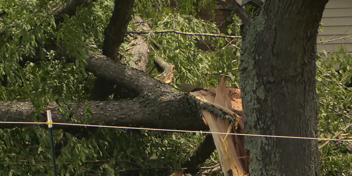 NWS Louisville confirms two EF-1 tornadoes hit Kentucky over Memorial Day weekend