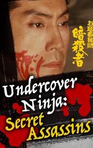 Undercover Ninja: Secret Assassins