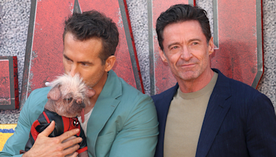 Ryan Reynolds’ sweet message as he embraces Britain’s ugliest dog on Deadpool red carpet