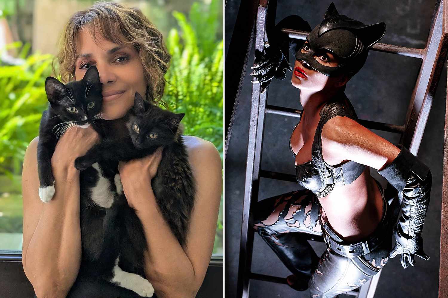 Halle Berry Says She Became a 'Cat Lover' 2 Decades After 2004's Catwoman: 'That Experience Changed Me'