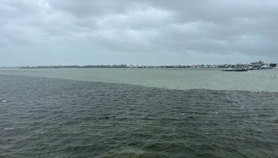 Experts warn Sarasota Bay water quality suffers after Debby | Your Observer