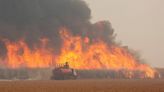 SP tem 15 mil agentes em campo contra incêndios que já duram um mês