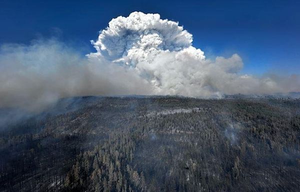 Oregon governor declares state of emergency over wildfire threat