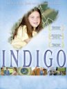 Indigo (film)