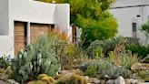 Desert Horticultural Society garden tour to take place March 16