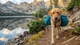 The 10 Best Dog-Friendly Hikes in the United States, According to AllTrails