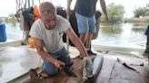 Fishermen, artists, Houma Nation carry on traditions of 'living fossil' in Dulac