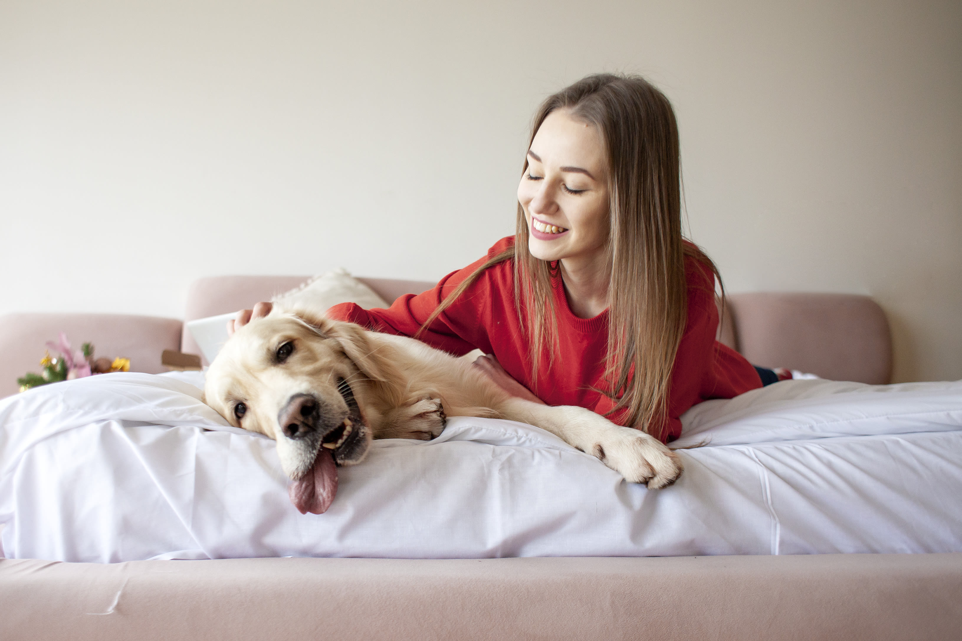 Owner shows reality of being woken up by golden retriever—"Only kisses"