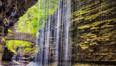 All New York State veterans to receive free state park entry